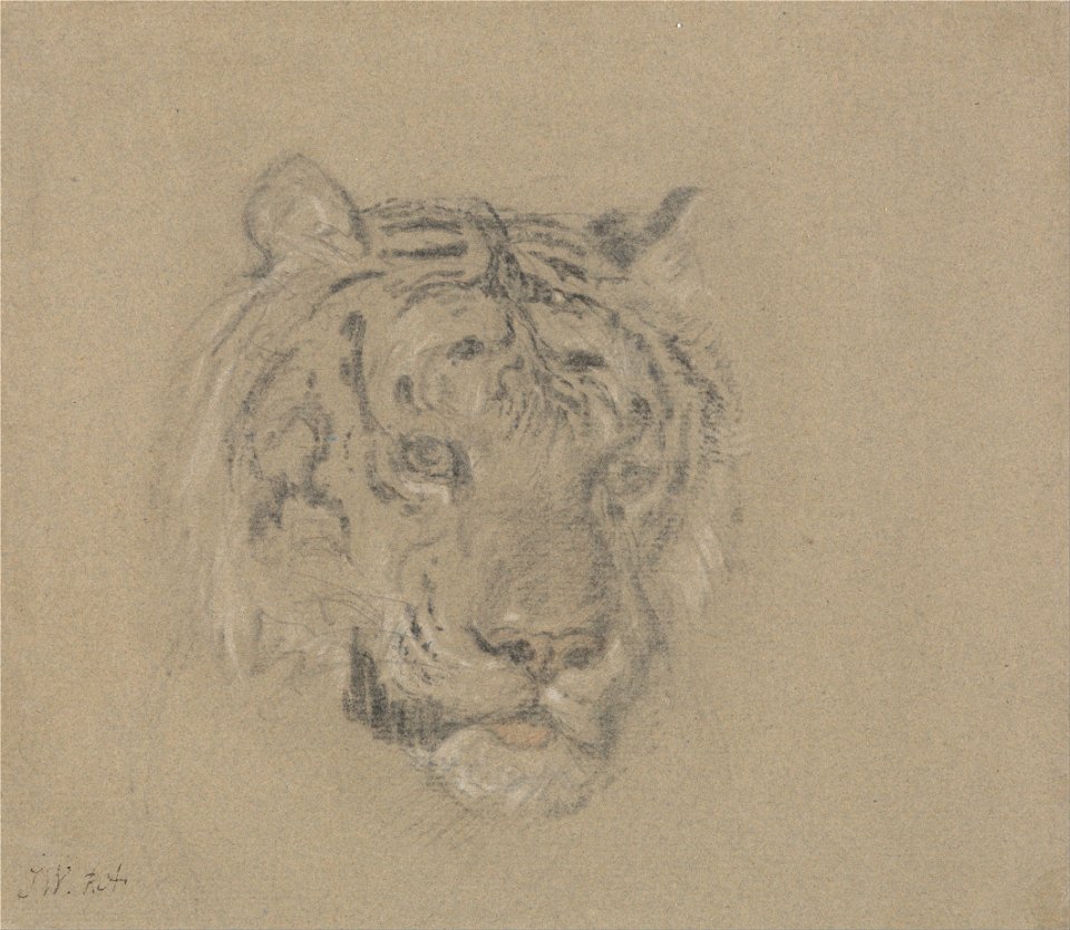 James Ward - Head of a Tiger - Google Art Project