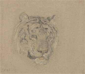 James Ward - Head of a Tiger - Google Art Project