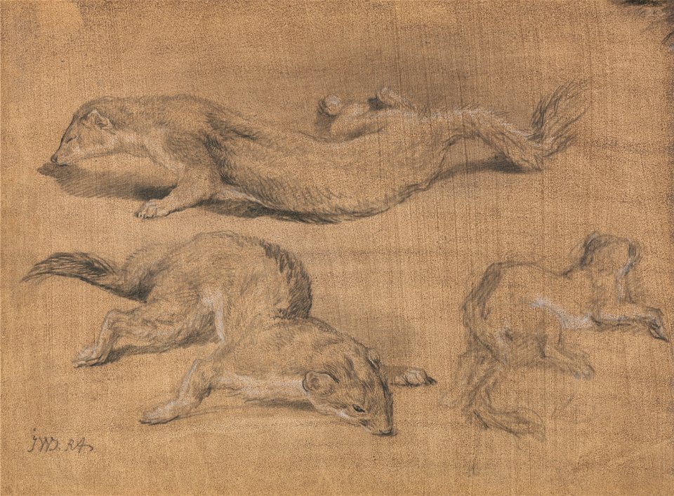 James Ward - Ferrets - Google Art Project
