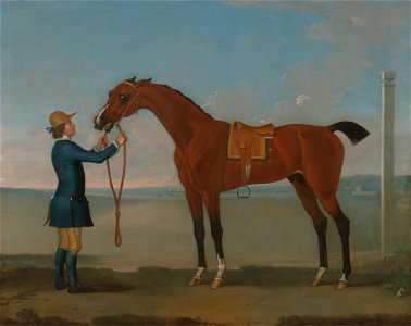 James Seymour - The Duke of Devonshire's Flying Childers - Google Art Project