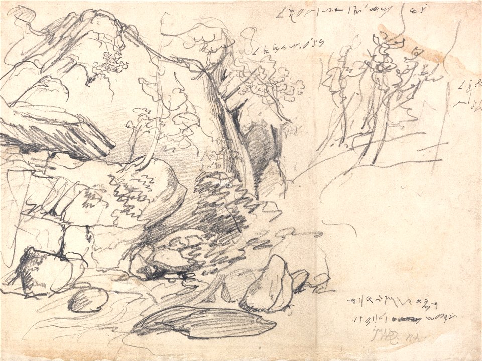 James Ward - Study of a Mountain with Trees - Google Art Project