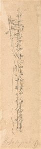 James Ward - A Bell on a Notched Post - Google Art Project