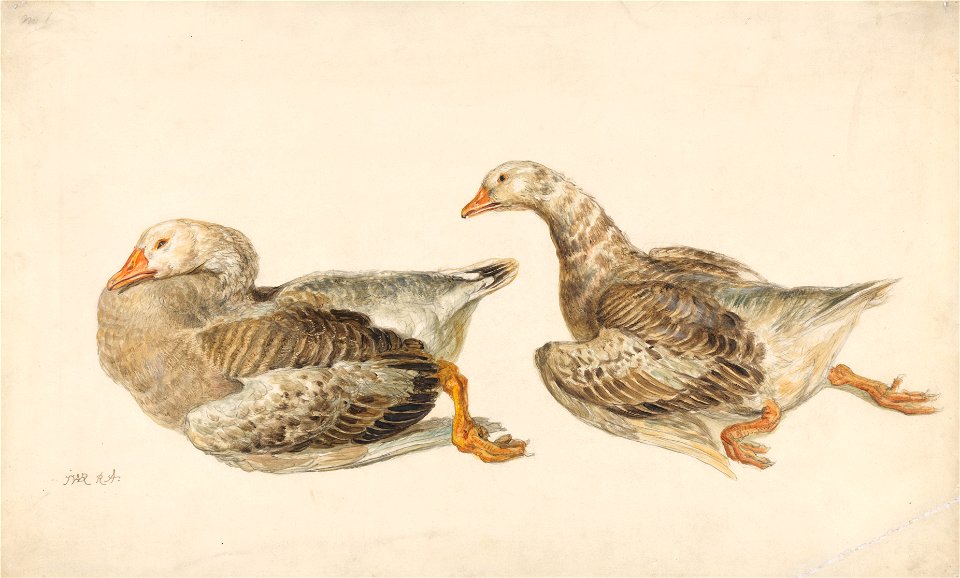 James Ward - Studies of Geese - Google Art Project