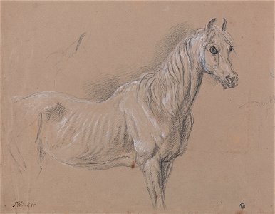 James Ward - A Mare- Possibly a Study for L'Amour de Cheval, Dated 1827, in the Tate Gallery - Google Art Project