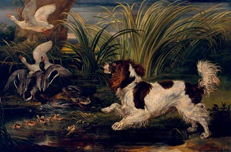 James Ward (1769-1859) - A Spaniel Frightening Ducks - N05926 - National Gallery