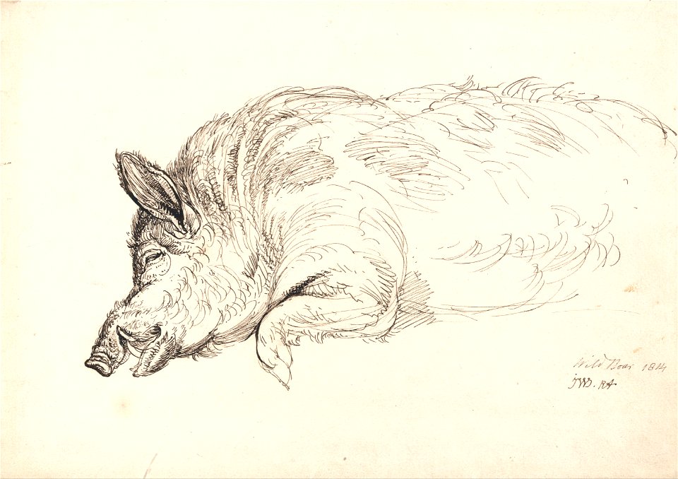 James Ward - A Wild Boar, Asleep or Dead - Google Art Project