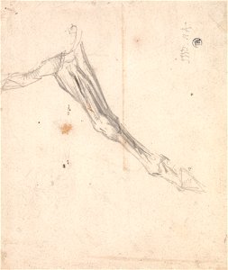 James Ward - Horse's Foreleg- Possibly a Study for L'Amour de Cheval, Dated 1827, in the Tate Gallery - Google Art Project