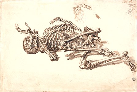 James Ward - A Human Skeleton - Google Art Project (2350893)