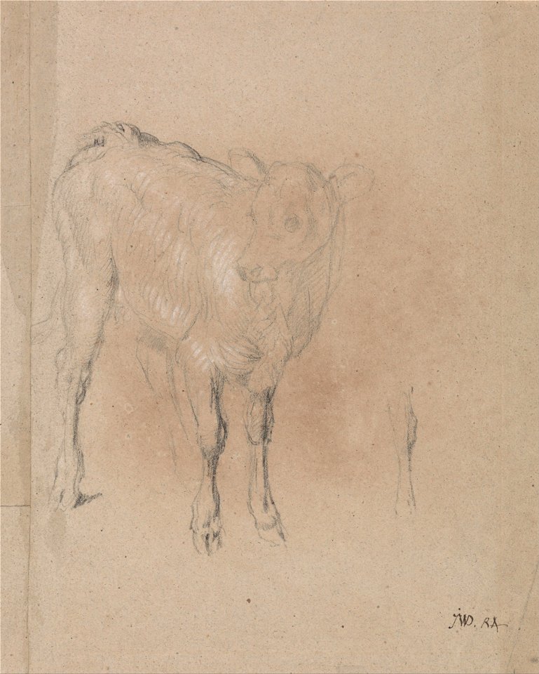 James Ward - Study of a Calf - Google Art Project