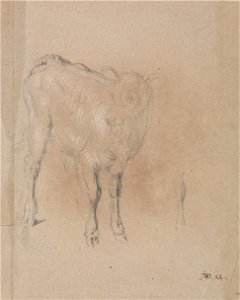 James Ward - Study of a Calf - Google Art Project