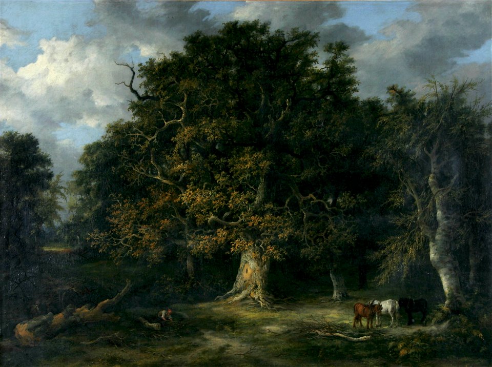 James Stark - The Forest Oak