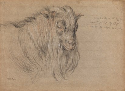 James Ward - Study of the Head of a Ram - Google Art Project