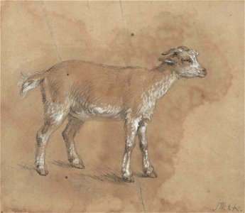 James Ward - Study of a Kid - Google Art Project