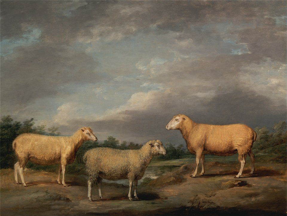 James Ward - Ryelands Sheep, the King's Ram, the King's Ewe and Lord Somerville's Wether - Google Art Project