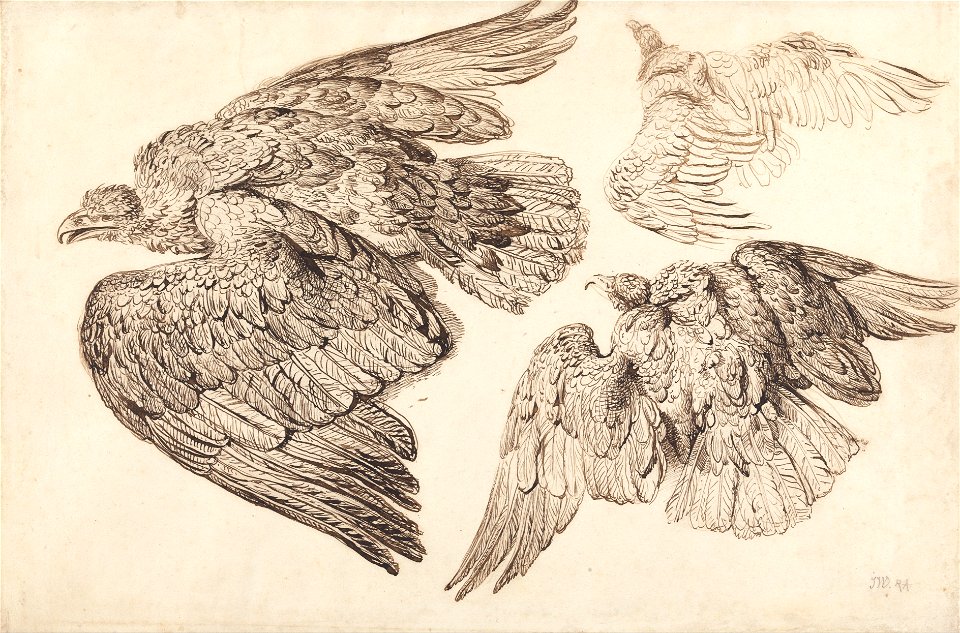 James Ward - Eagles - Google Art Project