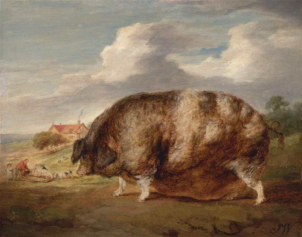 James Ward - Gloucestershire Old Spot - Google Art Project