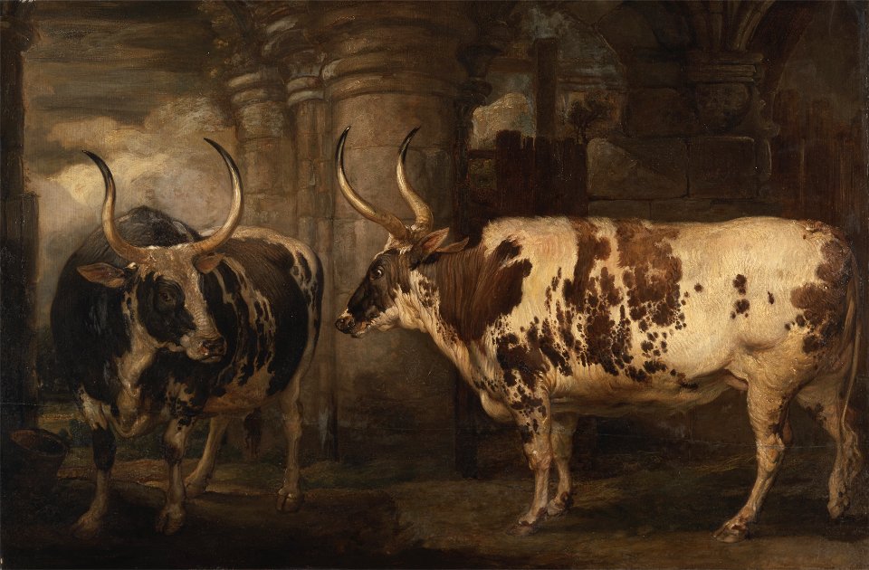 James Ward - Portraits of two extraordinary oxen, the property of the Earl of Powis - Google Art Project