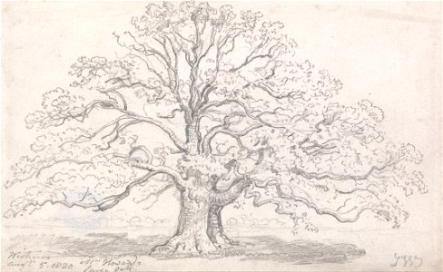 James Ward - Mr. Howard's Large Oak, August 5, 1820 - Google Art Project