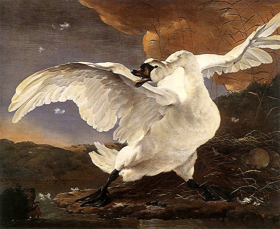Jan Asselijn - The Threatened Swan - WGA01030
