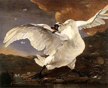 Jan Asselijn - The Threatened Swan - WGA01030