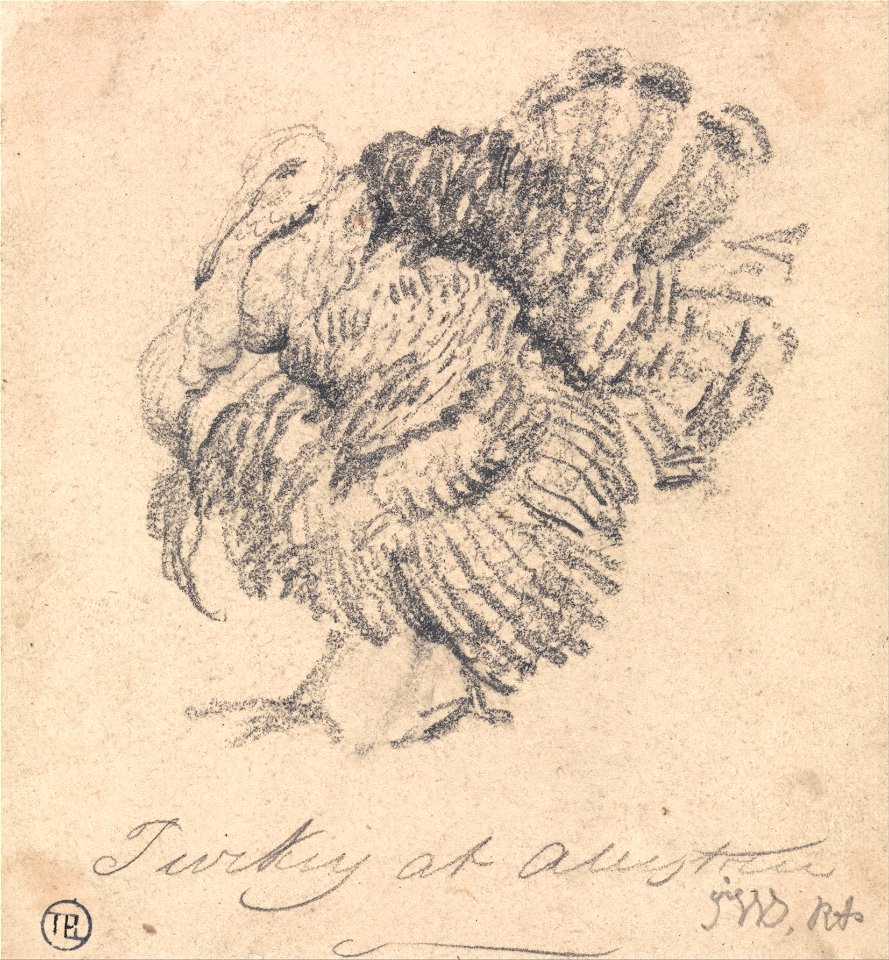 James Ward - Study of a Turkey - Google Art Project