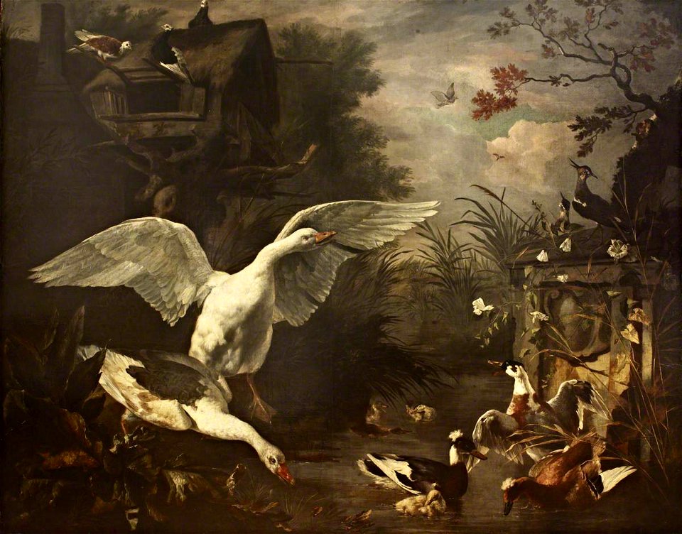 Jan Asselyn (after 1610-1652) (attributed to) - Swans and a Duck by a Stream - 515660 - National Trust