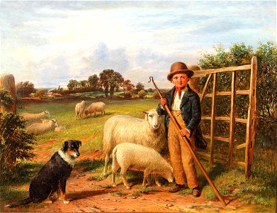 James William Cole Little shepherd. Free illustration for personal and commercial use.