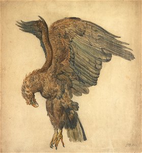 James Ward - Study of a Plunging Eagle - Google Art Project