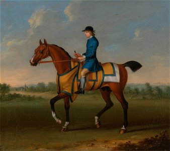 James Seymour - A Bay Racehorse with Jockey Up - Google Art Project. Free illustration for personal and commercial use.