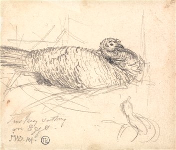 James Ward - A Turkey Sitting on Eggs - Google Art Project