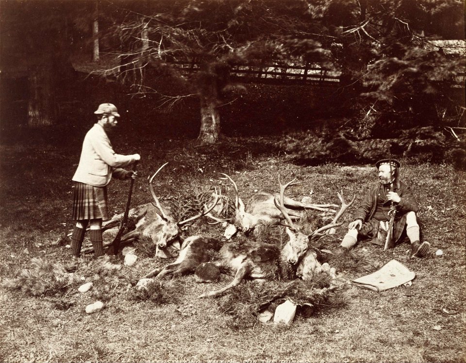 James Valentine - Waiting for the Ponies - Google Art Project
