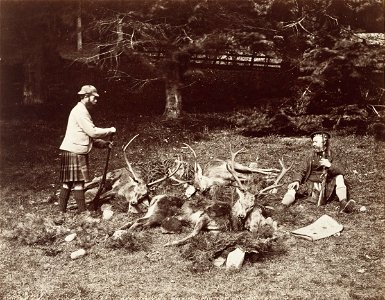 James Valentine - Waiting for the Ponies - Google Art Project