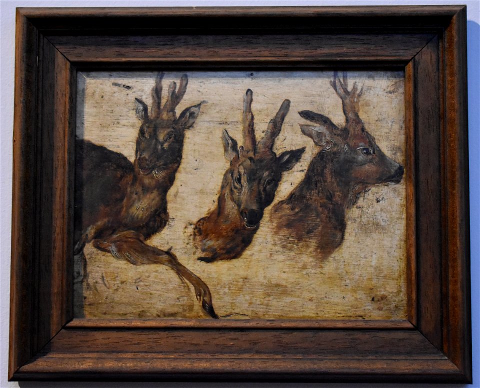 Jan Brueghel (I) - Tête de brocards 02