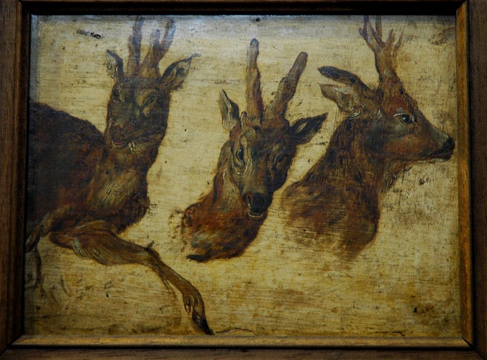 Jan Brueghel (I) - Tête de brocards