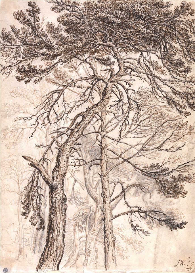 James Ward - Study of Trees - Google Art Project