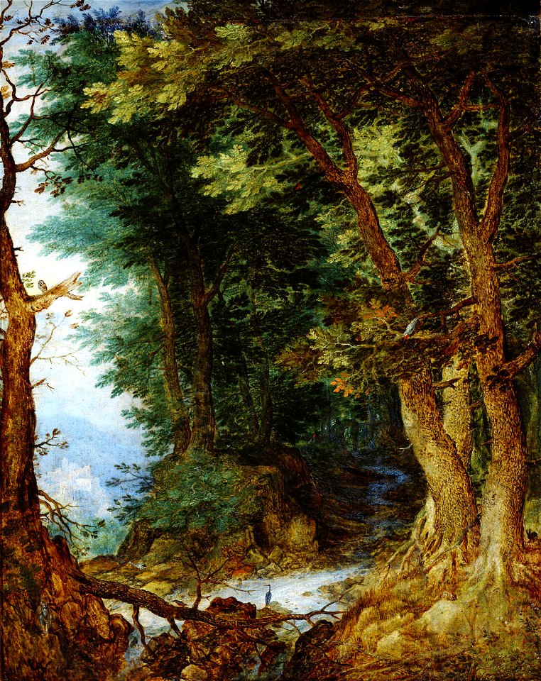 Jan Brueghel (I) - Forest landscape
