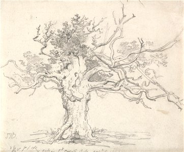 James Ward - A Stunted Oak - Google Art Project