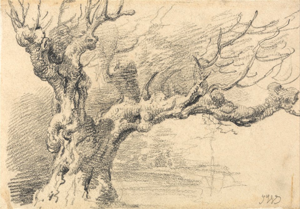 James Ward - An Old Oak Tree - Google Art Project