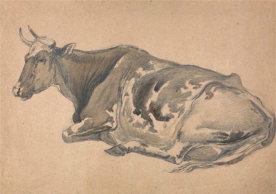 James Ward - Study of a Cow - Google Art Project