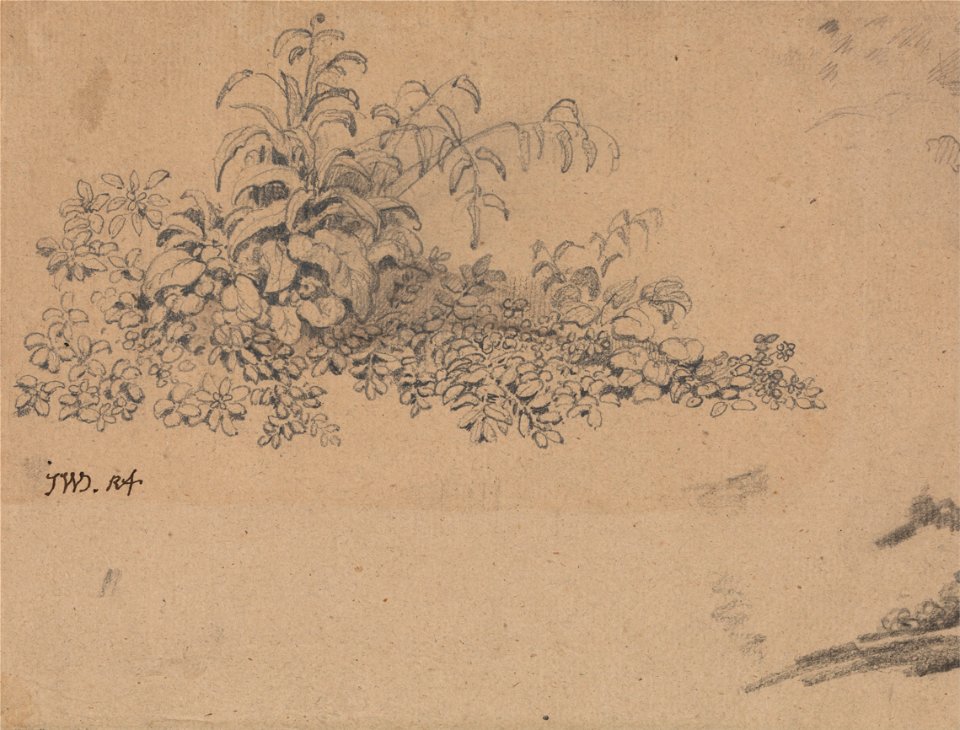 James Ward - Study of Undergrowth - Google Art Project