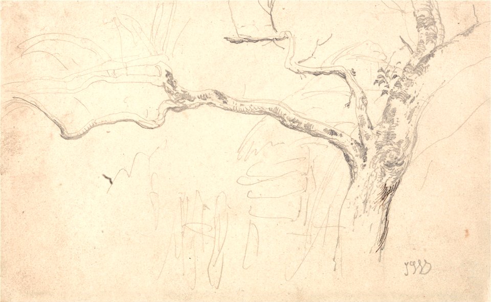 James Ward - Tree Study - Google Art Project