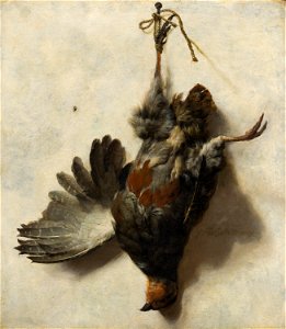 Jan Baptist Weenix - Dead Partridge Hanging from a Nail - 940 - Mauritshuis. Free illustration for personal and commercial use.