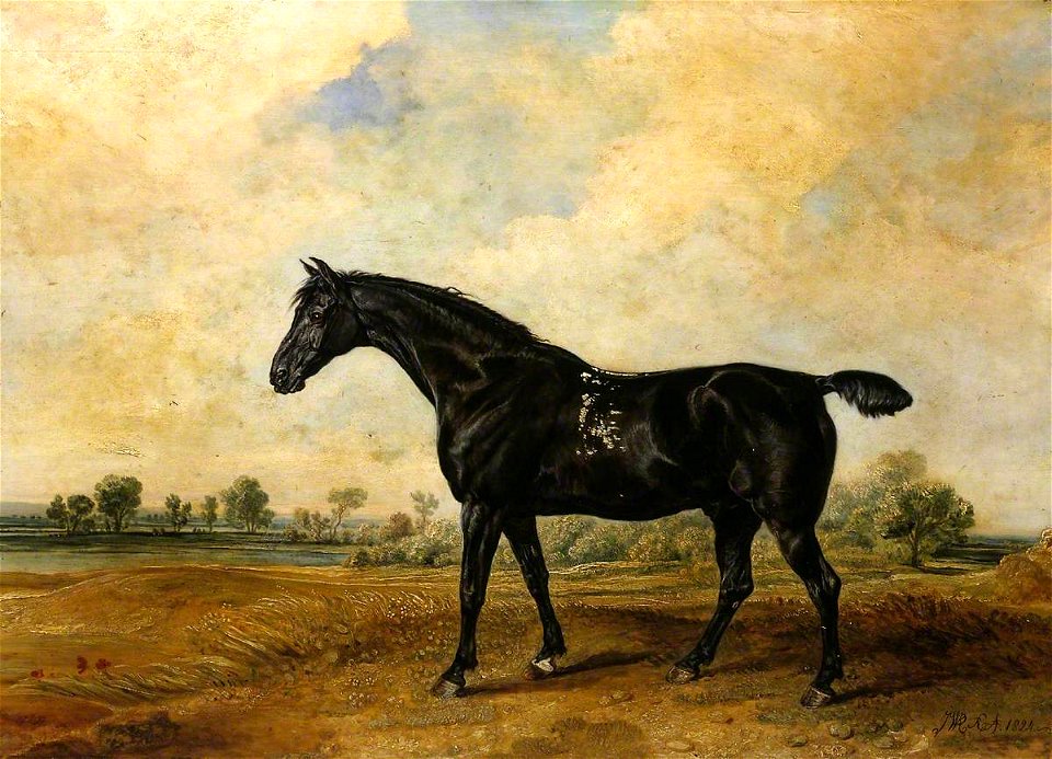 James Ward (1769-1859) - The Black Horse - N05940 - National Gallery