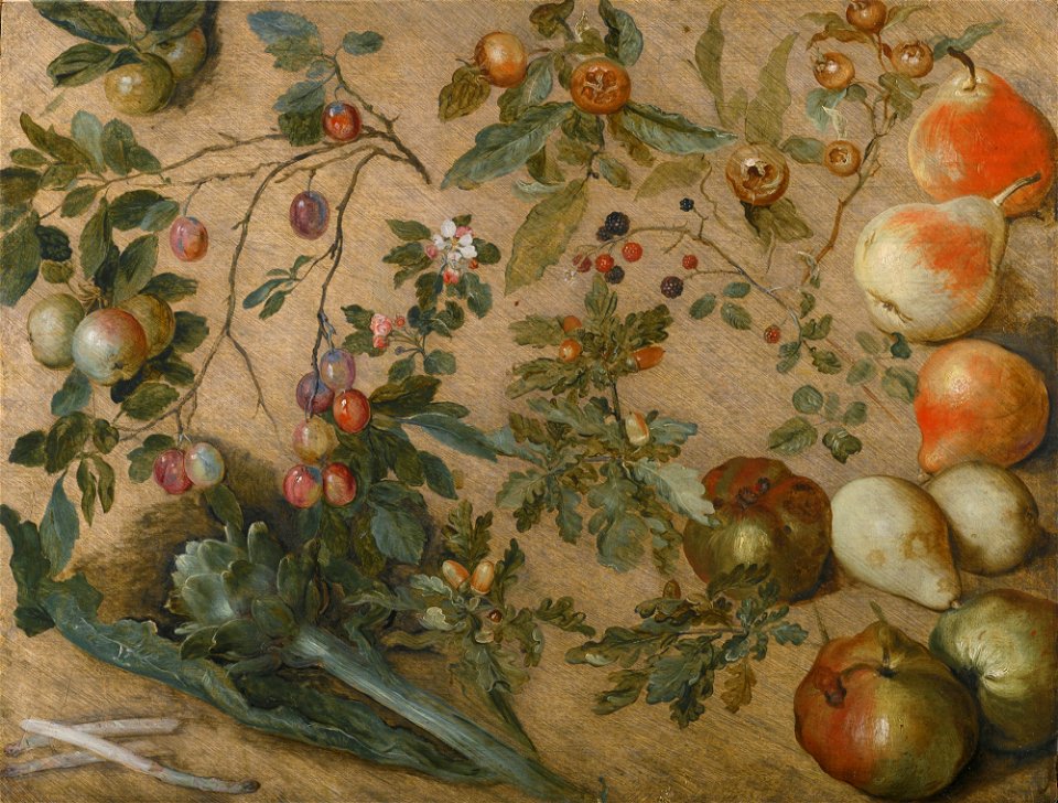 Jan Brueghel I - Study of apples, pears, grapes, blackberries, artichokes, asparagus and a sprig of oak