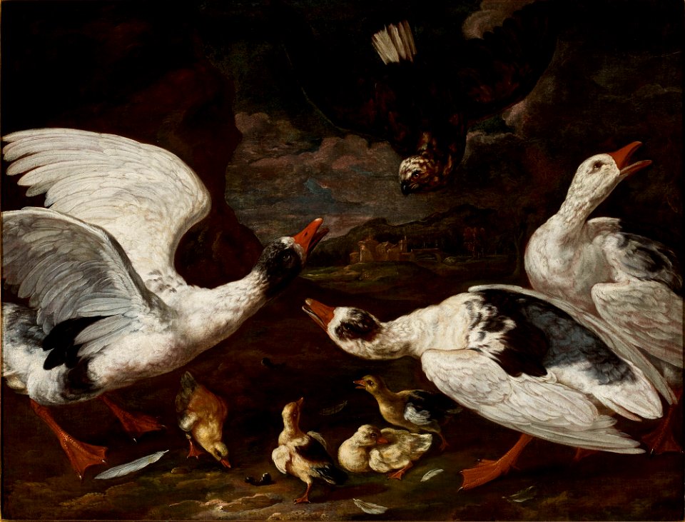Jan Baptist Bouttats - Hawk and geese - 187004 - National Museum in Warsaw