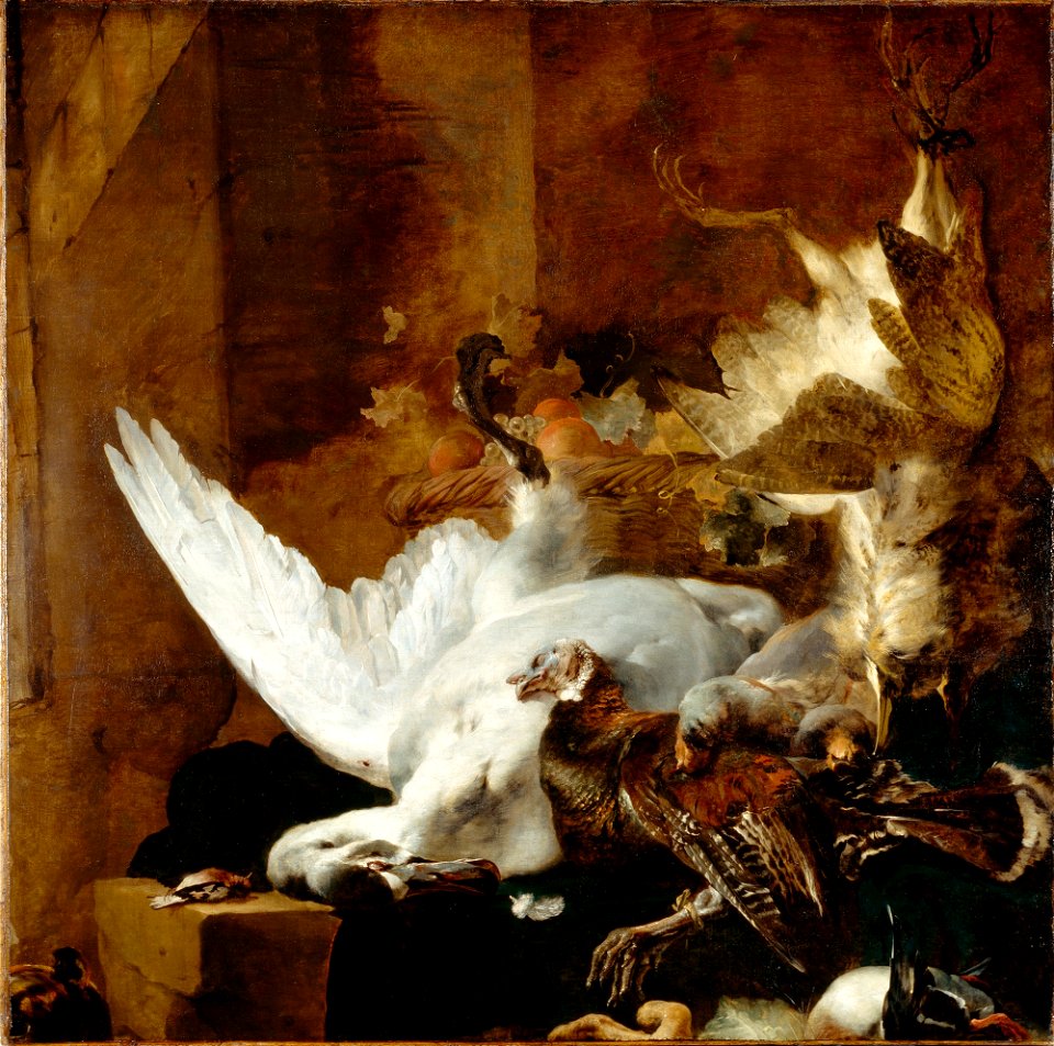 Jan Baptist Weenix - Still Life with a Dead Swan - 26.22 - Detroit Institute of Arts