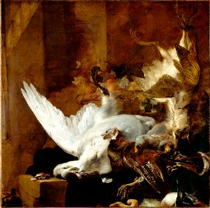 Jan Baptist Weenix - Still Life with a Dead Swan - 26.22 - Detroit Institute of Arts. Free illustration for personal and commercial use.