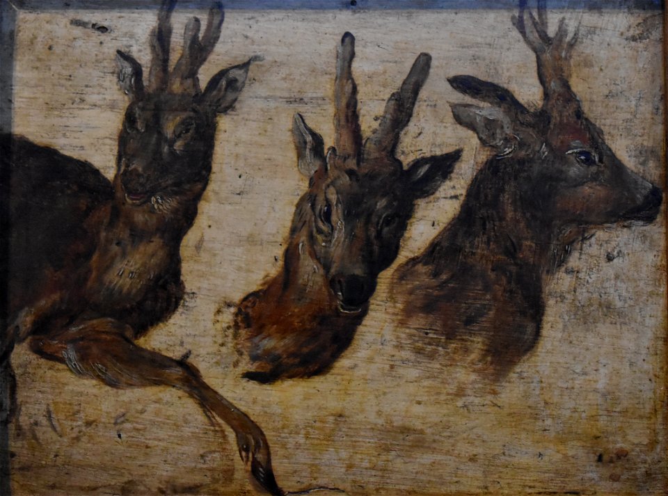 Jan Brueghel (I) - Tête de brocards 03