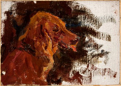 Jan Ciągliński - Maryino – study of dog’s head for the “Portrait of Prince Golitsyn” - MP 1761 MNW - National Museum in Warsaw. Free illustration for personal and commercial use.
