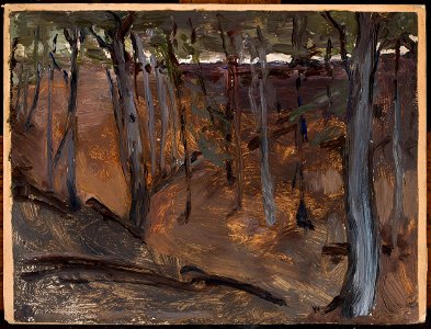 Jan Ciągliński - Forest – Finland - MP 1838 MNW - National Museum in Warsaw